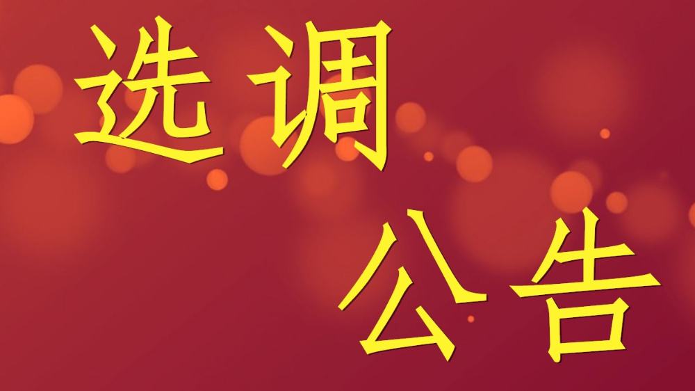 河北省2021年度面向普通高校應屆畢業生和服務基層項目人員選